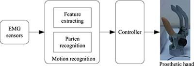 Grip Force and 3D Push-Pull Force Estimation Based on sEMG and GRNN